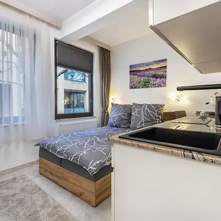 Prázdninový dům Downtown