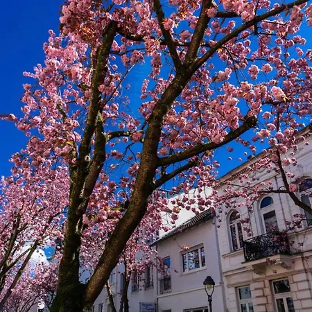 Downtown Bonn