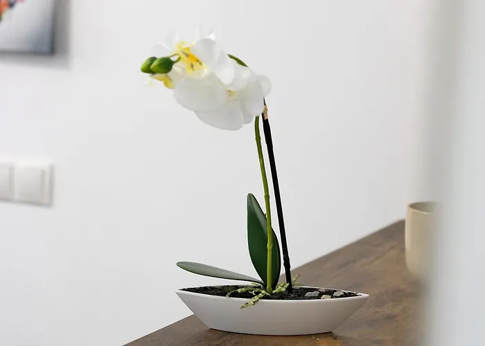 Prázdninový dům Downtown Bonn