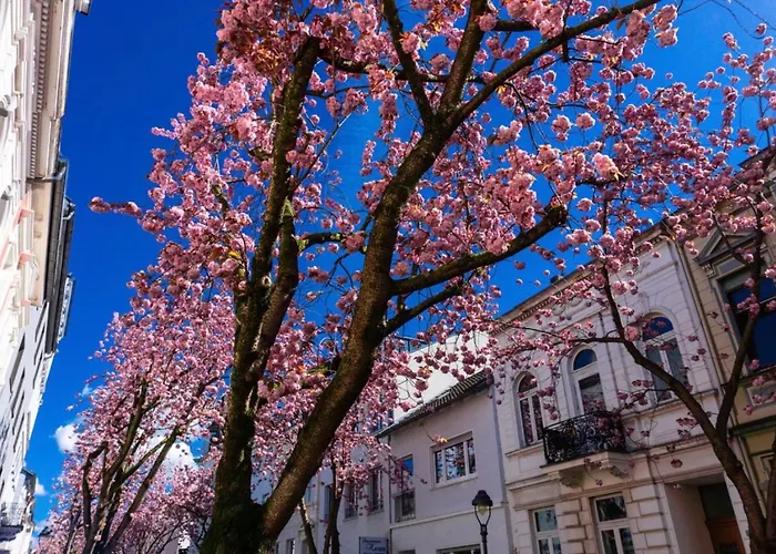 Downtown Bonn